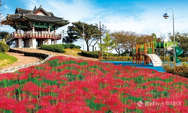 이미지 미리보기