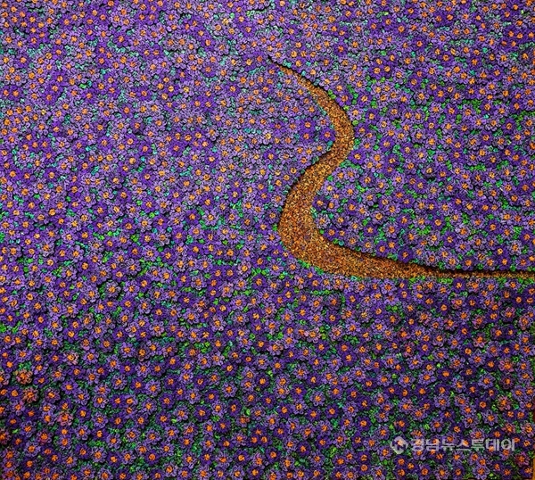 내가품은 꽃길 <사진제공=문화예술여행TV 문화예술기획 김성수>