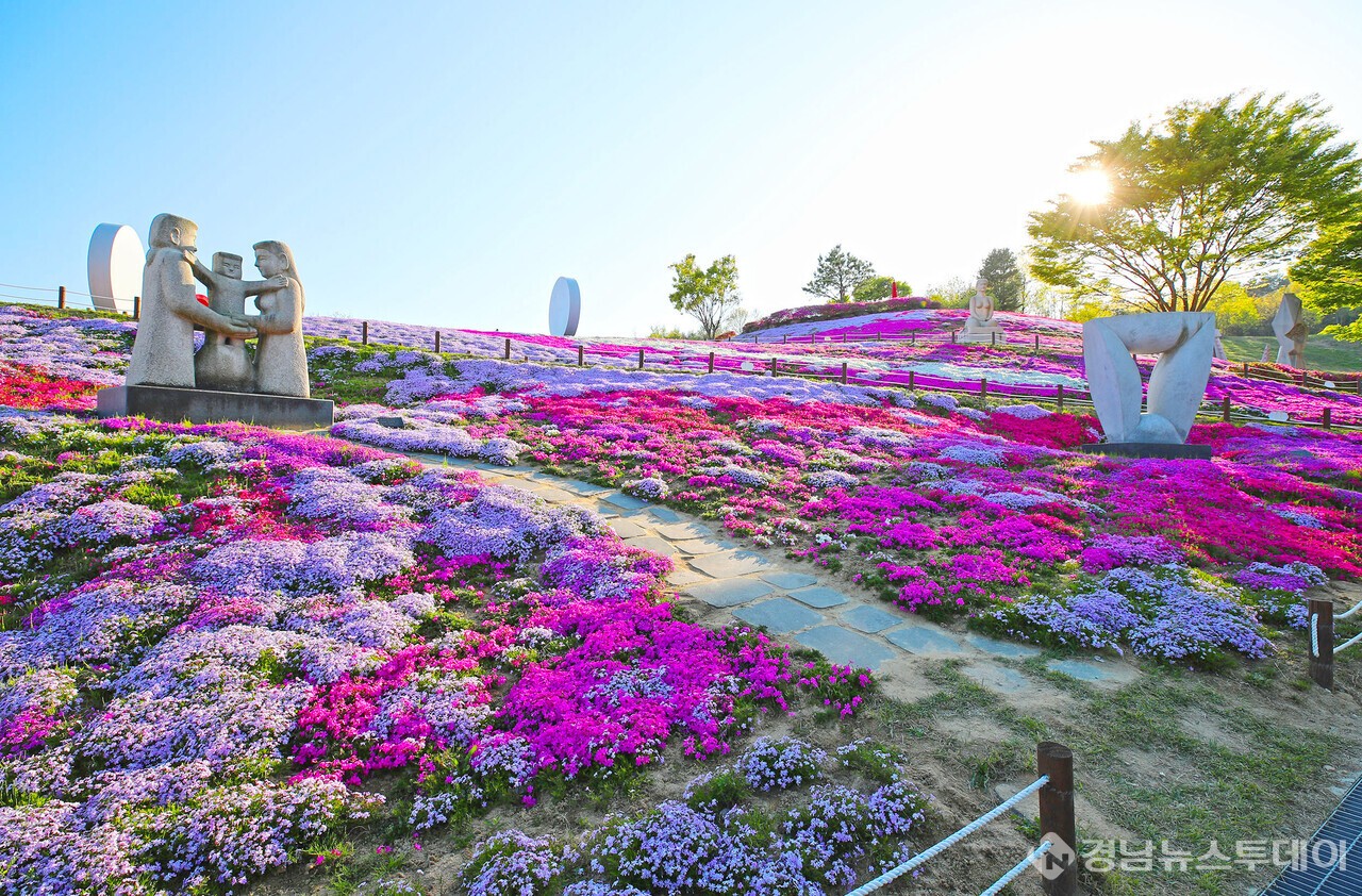 산청군이 오는 4월 11일부터 20일까지 제6회 산청 생초국제조각공원 꽃잔디 축제를 개최한다. (사진제공=산청군)