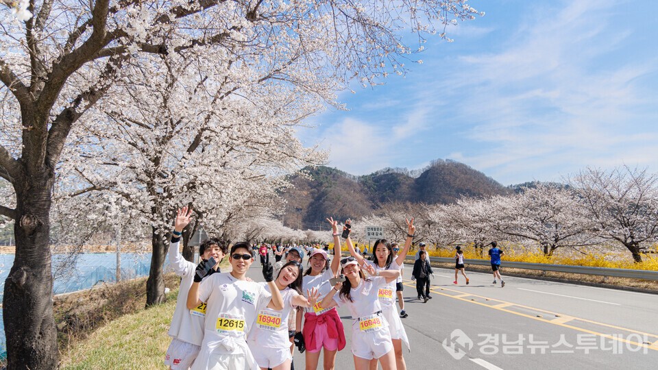 2025년 벚꽃마라톤 (사진제공=합천군)