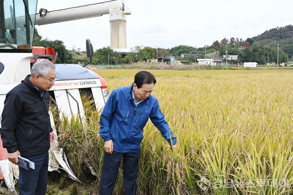 성낙인 창녕군수가 농번기 벼 수확현장을 방문해 영농상황을 살피고 있다. (사진제공=창녕군)