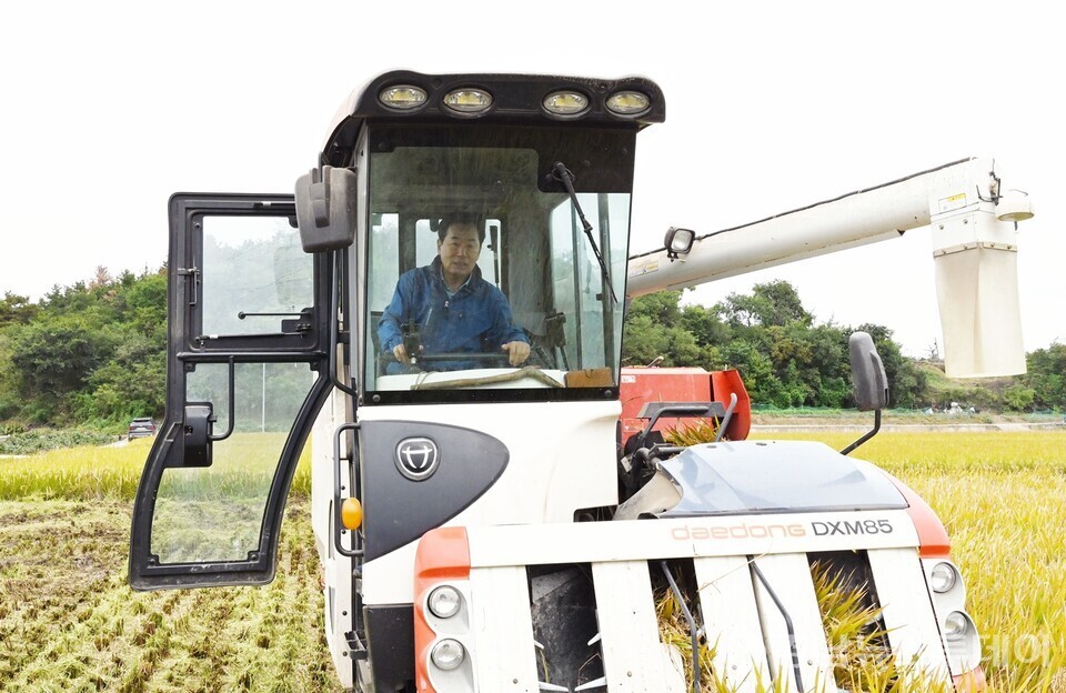 성낙인 창녕군수가 농번기 벼 수확현장을 방문해 영농상황을 살피고 있다. (사진제공=창녕군)