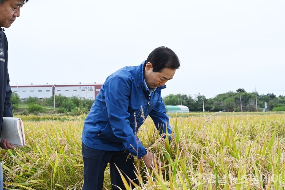 성낙인 창녕군수가 농번기 벼 수확현장을 방문해 영농상황을 살피고 있다. (사진제공=창녕군)