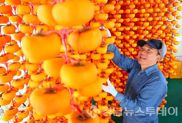 곶감 만들어요 (사진제공=함양군)