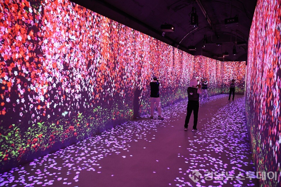 지난 8월 개장한 와인&디케이브 미디어아트 콘텐츠 (사진제공=김해시)