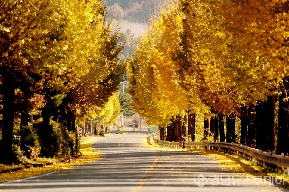 의령 대의고개 가을 전경 (사진제공 = 의령군 홍보팀 제광모)