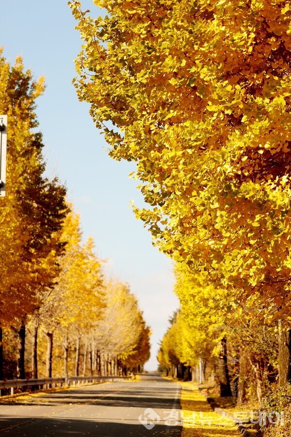 의령 대의고개 가을 전경 (사진제공 = 의령군 홍보팀 제광모)