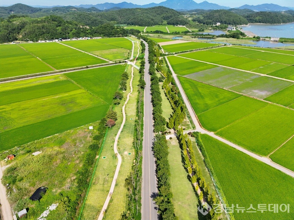 진교 파크골프장 전경 (사진제공=하동군)