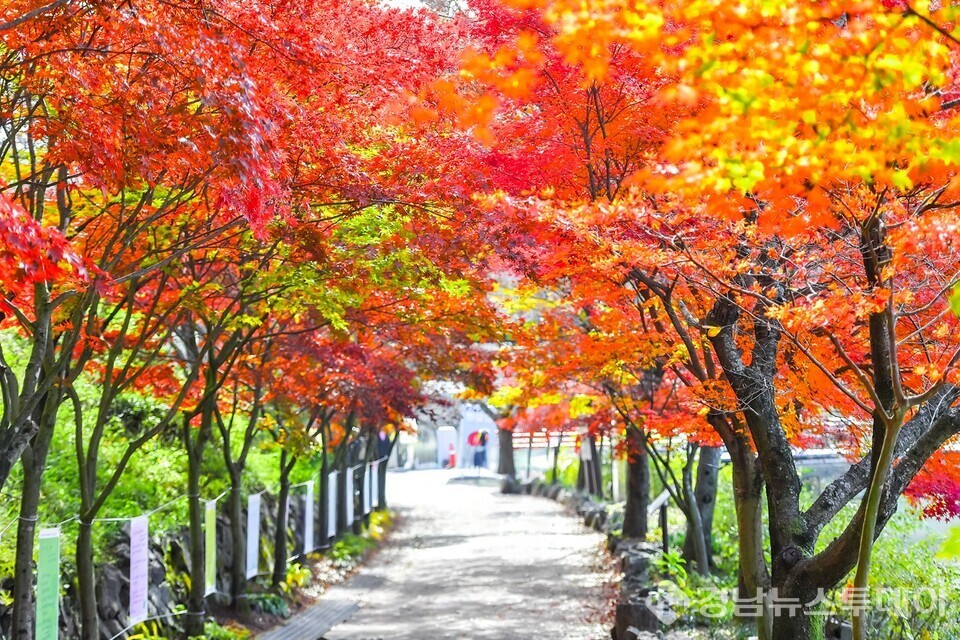  입곡군립공원 가을 전경 (사진제공=함안군 문화공보체육과 공보담당 이윤상 주무관)