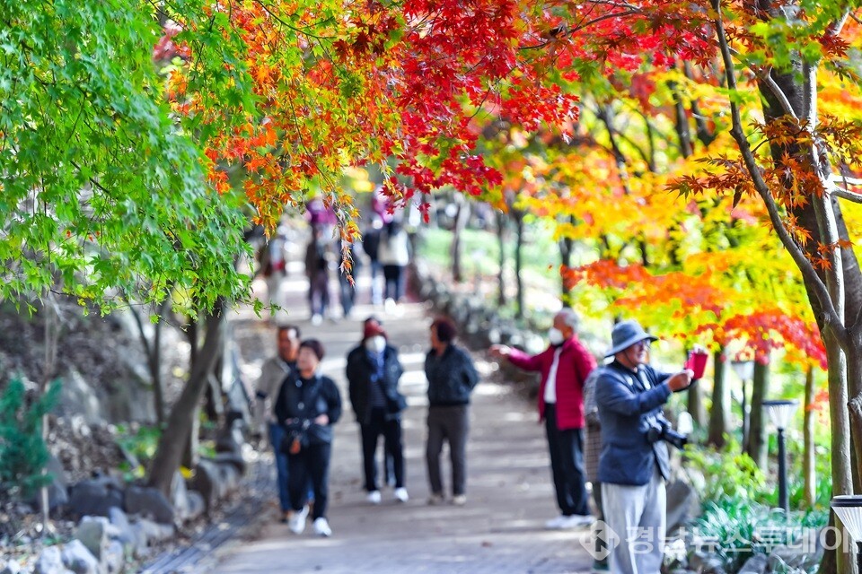  입곡군립공원 가을 전경 (사진제공=함안군 문화공보체육과 공보담당 이윤상 주무관)