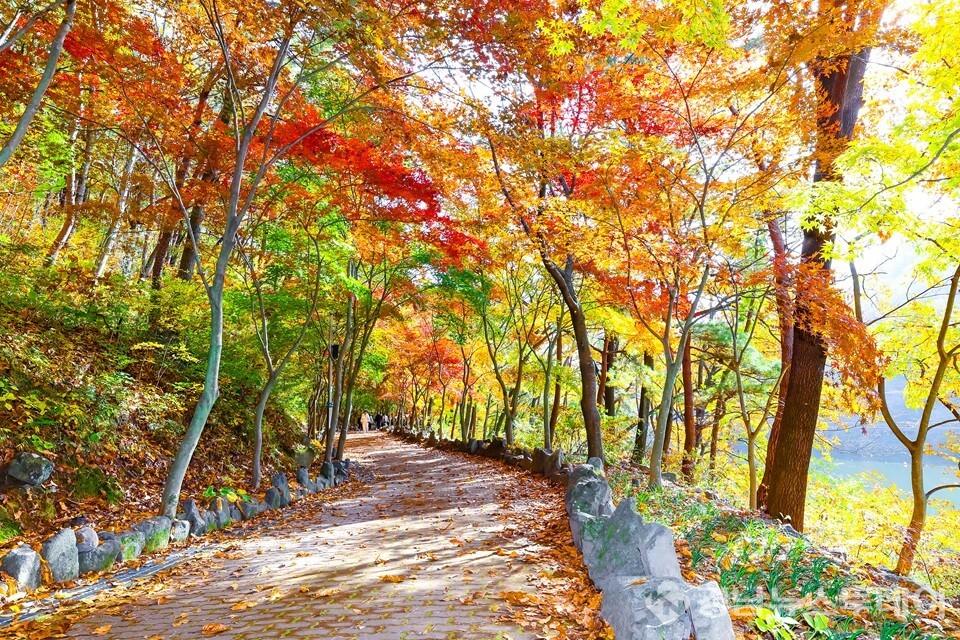  입곡군립공원 가을 전경 (사진제공=함안군 문화공보체육과 공보담당 이윤상 주무관)
