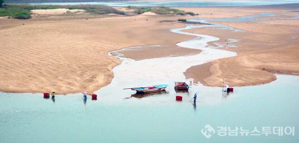 “세계중요농업유산 인증” 하동 섬진강 재첩..산업 발전 로드맵 제시- 사진은 재첩잡이 모습 (사진제공=하동군)