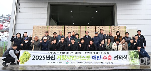 거창군이 25일 서북부경남거점산지유통센터(APC) 포도 선별장에서 