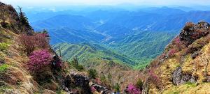 5월의 지리산에서 꽃길만 걸어요