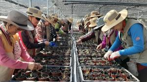 지리산국립공원, 자원활동가와 함께 봄 맞이 파종 행사 실시