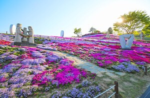 “오는 4월 꽃잔디 수놓은 산청 생초면 여행 어때요”