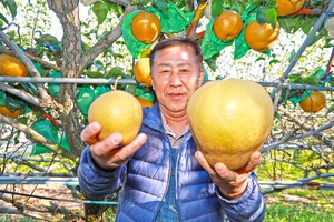 [포토] “지리산 청정골 산청에서 자란 대왕배 맛 보세요”