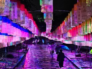 전통과 현대가 어우러진 통도사 미디어아트, 성황리 폐막