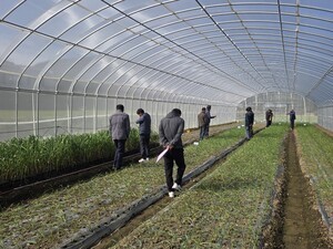 남해마늘연구소‘마늘 우량종구 생산’박차