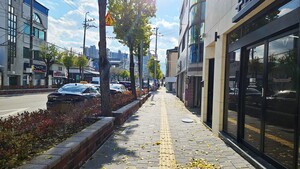 함양군, 보행환경 개선·교통안전 강화 위한 ‘5030 도로정온화 사업’ 추진