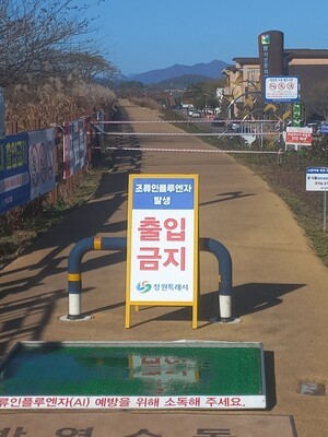 주남저수지 조류인플루엔자 검출 경남도, 가금농장으로 유입 차단 총력