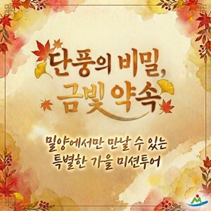 밀양시, 금빛 단풍 따라 떠나는 ‘금(金)길 미션투어’추진