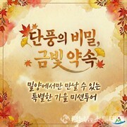 밀양시, 금빛 단풍 따라 떠나는 ‘금(金)길 미션투어’추진